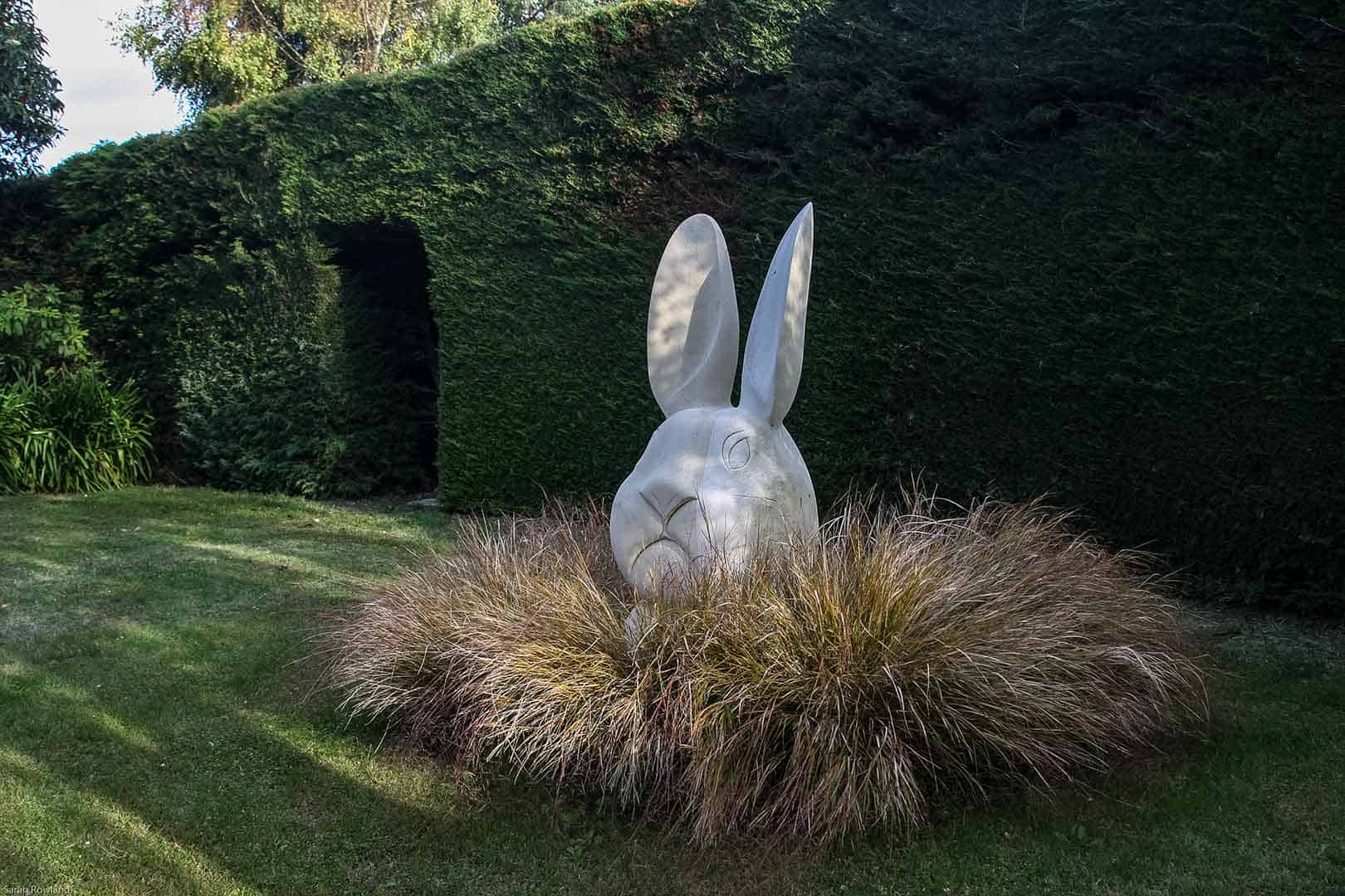 Brookfield Park Gardens Rabbit Brookfield Park Gardens Rabbit